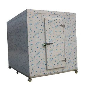 20ft Walk In Freezer Modern Freezer Ice Freezer Cold Room Storage High Quality Refrigerated Room