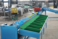 HUAGANG Automatische Groente- en Fruitwas-, Sorteer- en Classificeermachine met RVS 9-standen 7200/u capaciteit 220V/380V