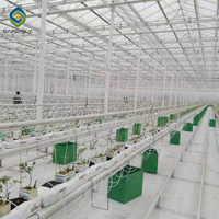 Sainpoly Serre Économique en Verre Intelligent Multi-travées pour Agriculture Hydroponique