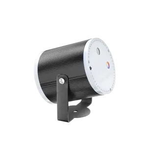 Пластиковый RG цилиндр для вечеринки лазерный свет с дистанционным управлением RG цвет 16 моделей DJ Disco Mini Laser Light