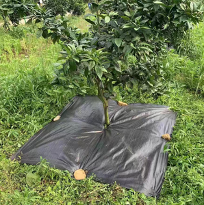 Tessuto di plastica Weed Stop per aiuola con fori in PP PE tessuto paesaggio perforato Anti tappeto di controllo delle infestanti - Product Image 1