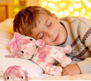 HY7 Nuevo Producto Muñeca de Peluche Rosa Regalo de San Valentín - Product Image 5