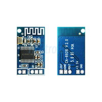 CA-6928 V2.0 BT5.0 Module Audio LED Puissance 3.3V-5V Audio Double Amplificateur Audio Numérique Carte Module