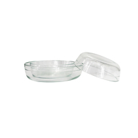 Plat à pizza rond en verre borosilicate - Résistant à la chaleur, compatible four, sans danger pour les aliments