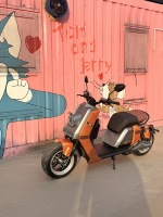 Scooter électrique Citycoco certifié EEC/COC, 2000W/3000W, batterie 60V 20Ah-55Ah, pneus larges, motos électriques
