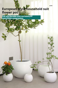 Jardinière en argile de magnésium Navire de sol sphérique innovant pour les magasins de décoration de maison de luxe Grande pièce maîtresse d'affichage <span class=keywords><strong>botanique</strong></span> - Product Image 2