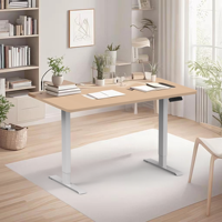 Fabricant de meubles de système de contrôle intégré Bureau debout Bureau réglable à double moteur Table électrique pour bureau