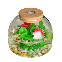 Terrariums en verre transparent avec lumière LED colorée, sans BPA, faits à la main, en verre borosilicate transparent de haute qualité avec couvercle en liège