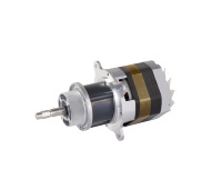 Moteur à engrenages CC à balais à couple élevé, OEM/ODM, personnalisable, pour équipement de découpe et de broyage de légumes électriques – Approvisionnement direct usine