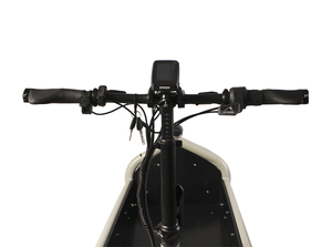 2 ruote Mid Drive elettrico città pendolare Cargo bici <span class=keywords><strong>bicicletta</strong></span> <span class=keywords><strong>con</strong></span> cestello anteriore Cargo Box Bafang Bakfiet elettrico Cargo Bike olandese - Product Image 4