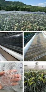 Tùy chỉnh-thực hiện Polyethylene (PE) nhựa nông nghiệp chim lưới nhà máy trực tiếp chống mưa đá lưới - Product Image 6