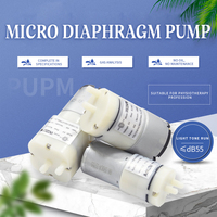 Pompe à vide et à gonflage à micro-diaphragme à courant continu 12V/24V, 10W, -81KPa, 10L/min