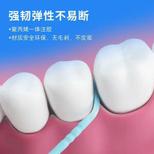 300-Piece <b>Disposable</b> Plastic Toothpick Fishbone-Shaped Double-Ended Interdental Brush Wholesale Cannister <b>Toothbrush</b> Design - Product Image 4