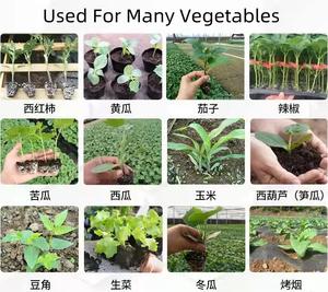 Sembradora Manual de Verduras, Máquina para Plantar Patatas y Tomates Pequeños, Sembradora Manual y Fertilizadora - Product Image 4