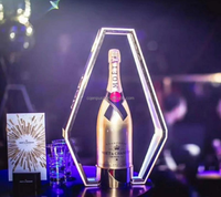 Présentoir LED rechargeable en métal pour bouteilles de champagne, idéal pour les soirées, événements et boîtes de nuit