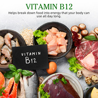 Gélules de Vitamine B12 1000mcg Méthylcobalamine à Haute Concentration pour l'Énergie et le Système Nerveux – Formule Puissante – Approvisionnement Direct Usine