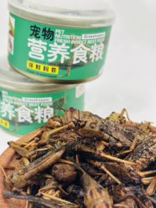 Fabrication en usine de divers aliments délicieux riches en protéines pour oiseaux et reptiles, insectes séchés (sauterelles, gaufrés) - Product Image 5