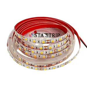Decorative Single Color Led Strip Smd5050 3000k/4000k/5000k/6000 DC12V 24V 60led/m 120led/m LED Strip Light 5050 SMD Led Strip