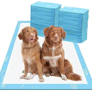 I cuscinetti biodegradabili per addestramento e cucciolo per animali domestici di grandi dimensioni contano il cuscinetto per pipì Super assorbente a prova di perdite per cani