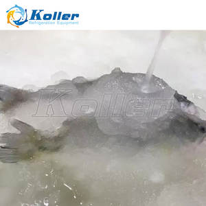 Máquina de Hielo Líquido de Agua de Mar Koller 1 <span class=keywords><strong>TDP</strong></span>, Adecuada para Fábrica de Hielo de Barco Pesquero de Puerto África - Product Image 4