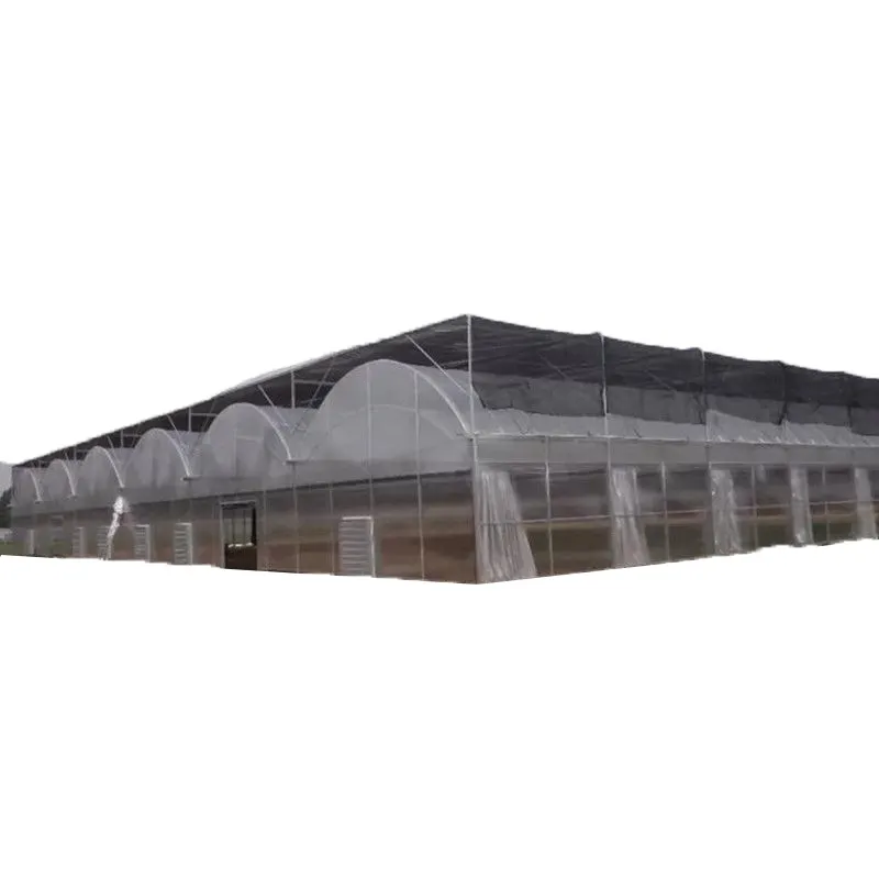 Big agricultural greenhouses modern garden plastic film tunnel tomato vegetable seeds nursary multi span green house structure