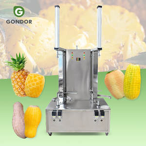Machine automatique de lavage et de découpe des fruits et légumes (noix de coco, fruit à pain, mangue, ananas) pour la transformation - Product Image 1