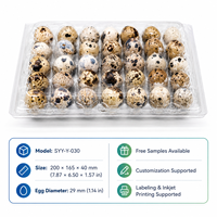 Plateau à œufs de caille en blister PET transparent de 30 unités, emballage personnalisé avec étiquette, pour la distribution en ferme et la vente au détail