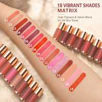 Fard à joues liquide végétalien sans logo, longue tenue, soyeux, hydratant, fini naturel, anti-bavures, haute pigmentation, 18 couleurs