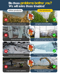 Fabricantes profesionales de fácil instalación Invernaderos de 8mm Invernadero de producción de vegetales comerciales - Product Image 2