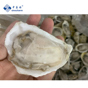 Conchiglie vive congelate ostriche fresche congelate all'ingrosso - Product Image 4