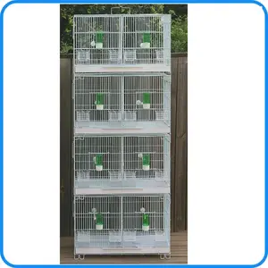 Kweekkooi voor vogels, milieuvriendelijk glas & plastic, geschikt voor alle seizoenen, groothandel - Product Image 5