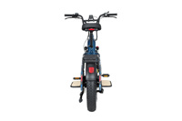 Cyrusher Glider Cargo E-Bike 750W 15.6Ah avec batterie au lithium Accessoires complets pour les amateurs de plein air