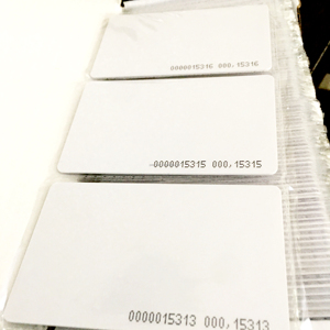 Vente en gros de cartes blanches personnalisées Seaory Cartes vierges en plastique PVC avec impression numérique et stratification avec puce RFID - Product Image 3