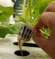 Système de culture hydroponique familial intelligent pour l'intérieur, armoire de culture hydroponique avec éclairage LED pour laitue/micro-légumes, facile à gérer