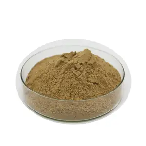 High Purity Maca Root Extract Powder Maca Powder