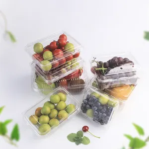 Tek kullanımlık PET şeffaf meyve kutusu plastik ambalaj kapaklı kutu, yüksek dereceli koruma meyve ve sebze ambalaj kutusu