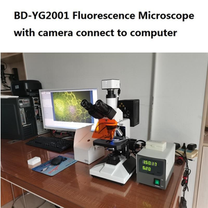 <span class=keywords><strong>Microscope</strong></span> d'épi-fluorescence de prix usine de BD-YG2001 de Boshida pour l'hôpital de culture cellulaire et le laboratoire de recherche - Product Image 2