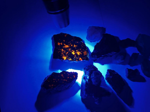 Détecteur de minéraux et de <span class=keywords><strong>phosphore</strong></span> à ondes longues et courtes UV 254nm 365nm 395nm, lampe torche LED à lumière noire UVA UVC, filtre ZWB3, alliage d'aluminium - Product Image 2