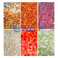 Professionele industriële groente- en fruit snijmachine voor ui, radijs, kokosnoot, aloë vera, mango, komkommer en andere fruitsoorten.