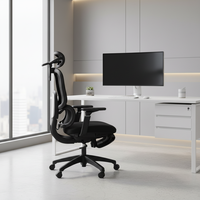 Chaise ergonomique intelligente et réglable en maille avec support lombaire dynamique, structure en plastique, style exécutif, garantie 3 ans pour la maison moderne