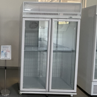 Congélateur vertical à double porte vitrée, refroidissement par air, sans givre, éclairage LED, 1000L, pour café