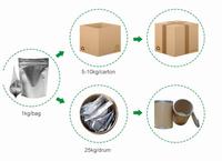Extrait d'ail en poudre 10:1, qualité alimentaire, emballé sous vide dans un conteneur en plastique