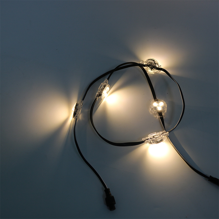 Smart RGBW LED Pixel Lights DC24V Waterproof Indoor/Outdoor Christmas Decorations IP67 Rating 5050 Decorative Lighting