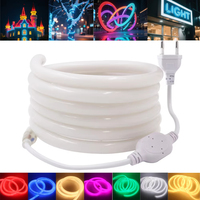 Bande lumineuse LED néon 220V, tube rond à 360 degrés, rouge/vert/bleu/blanc chaud, corde flexible, 120 LED/m, étanche, prise EU, décoration intérieure