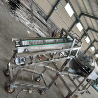 Machine à poinçonner des haricots de cacao frais, pour garder et fabriquer les aliments