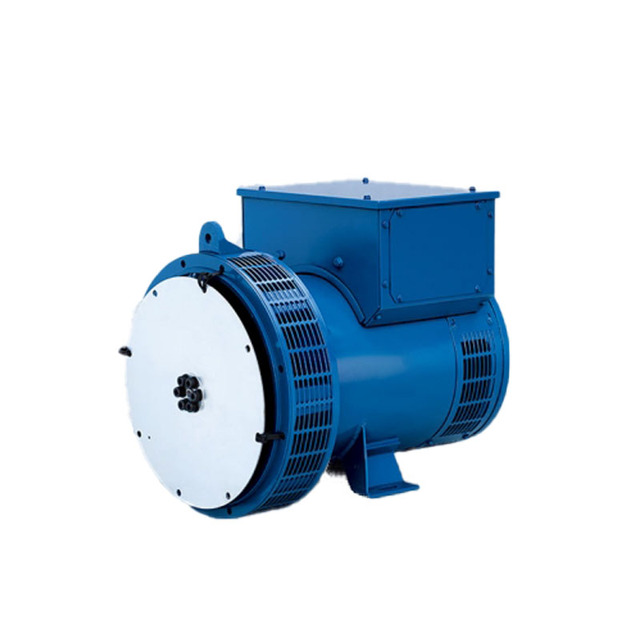 Low Rpm Alternator 50hz/60hz Singlr/three Phase Brushless Electric Ac dynamo Generator 220v
