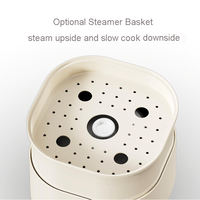 Mijoteuse électrique silencieuse à micro-pression marmite en céramique marmite à soupe à la crème anglaise électrique avec panier à œufs à vapeur