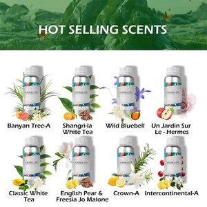 Huile Essentielle Concentrée en Gros pour Hôtels : Diffuseur de <span class=keywords><strong>Parfum</strong></span>, Marque de Créateur, Romarin, Lavande, Arôme Concentré, <span class=keywords><strong>Parfum</strong></span>, Huile Essentielle - Product Image 4