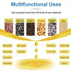 ORME - Prensa Expulsora de Aceite de Coco y Semillas de Baobab Automática Pequeña, Máquina para Producir Aceite de Soja - Product Image 5