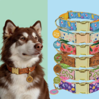 Collier pour chien de luxe personnalisé, populaire, à faible MOQ, cadeau pour la Saint-Valentin et le Nouvel An
